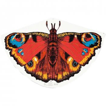 Gunther - Cometa (66x2x10 cm) [Importado de Alemania]