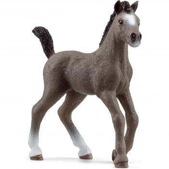 Figura de Caballo Potro Cheval de Selle Francais - Schleich 13957, Ideal para Niños y Juegos de Rol