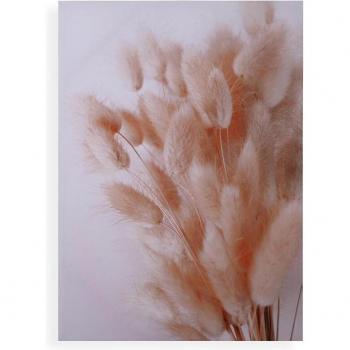 Lienzo Decorativo Flores Espigadas 50x70 cm