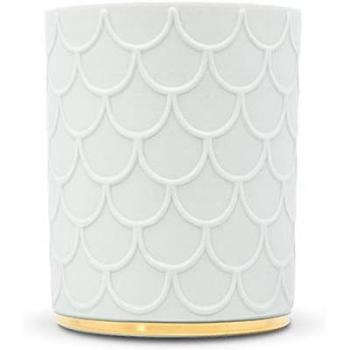 Fig and Tuberose Scented Candle 250g