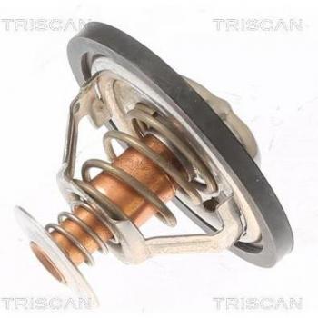 Termostato TRISCAN 8620 12982 - Alta Precisión y Fiabilidad
