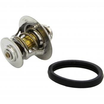 BEHR THERMOTTRONIK Termostato refrigerante