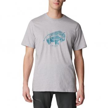 Camiseta de hombre Columbia Rockaway River™ Outdoor SS gris claro - XXL