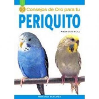 Periquito