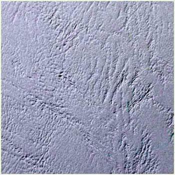GBC LeatherGrain, Caja de 100 portadas A4, blanco, 250 g/m², 100 piezas