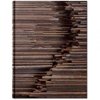 Ai Weiwei