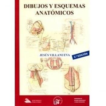 Dibujos y esquemas anatómicos: 54