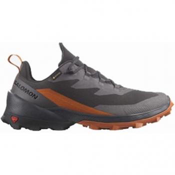 Zapatillas de montaña Salomon Cross Over 2 GTX