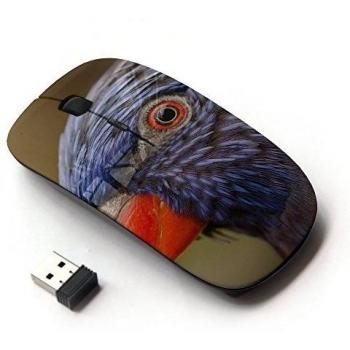 XP-Tech [ Ratón óptico 2.4G inalámbrico ] - Free Photo Of Bird
