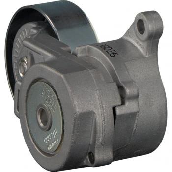 Tensor de correa poli V FEBI BILSTEIN 31215