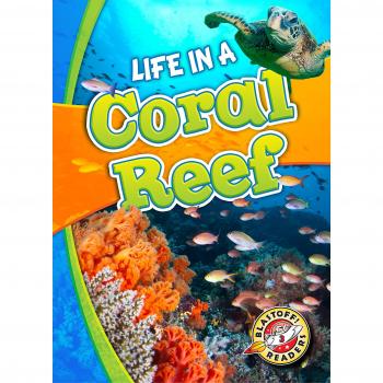 Life in a Coral Reef