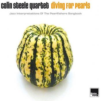Diving For Pearls: Jazz Interpretations Vinyl Record