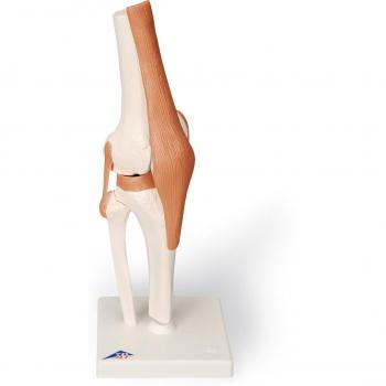 Rodilleras EVS Axis Sport - Protección y Comodidad para Deportes