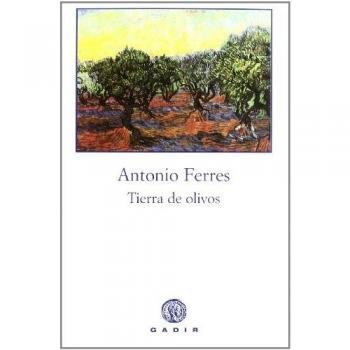 Tierra de olivos
