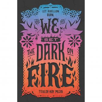 We Set the Dark on Fire: Tehlor Kay Meija
