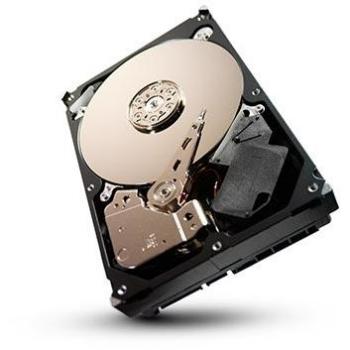 Seagate ST1000VX000 - Disco duro interno 3.5 con conexión SATA III