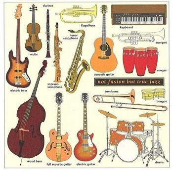 Not Fusion But True Jazz - Jaco Pastorius