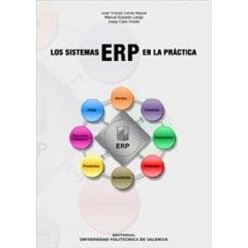 Los Sistemas Erp En La Práctica