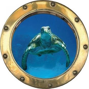 Stickersnews - Sticker hublot Tortue en trompe l oeil Dimensions - 30x30cm