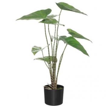 Atmosphera Planta Zebrina Maceta Plástica H74