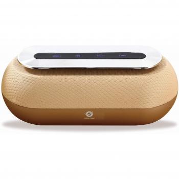 Conceptronic DUNKAN01GL 10 W Oro - Altavoces portátiles