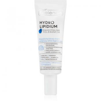 Bielenda HYDROLIPIDIUM Intensive Regenerating Cream 50 ml