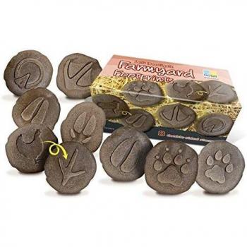 Yellow Door Farmyard Footprint Stones