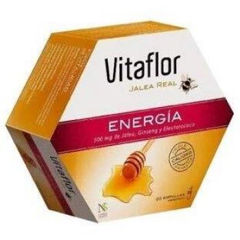 Actibios Vitaflor Energia Plus 20Viales 1 Unidad 250 g
