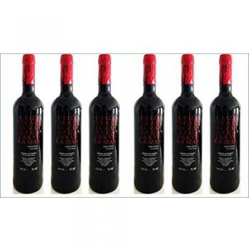 Vega Izán Roble - MEDALLA DE ORO VINESPAÑA - Envio 24 horas - 6 Botellas - Caja Ribera del Duero Cosecha Privada