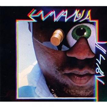 Ennanga Vision VINYL