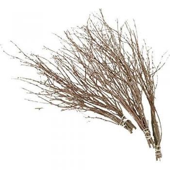 Creativ Company - Ramas de abedul, l: 50-60 cm, 20pcs.