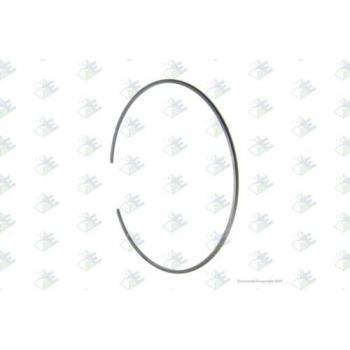 Elemento de Sincronización EURORICAMBI 88530728 - Engranaje y Circlip 0,190kg