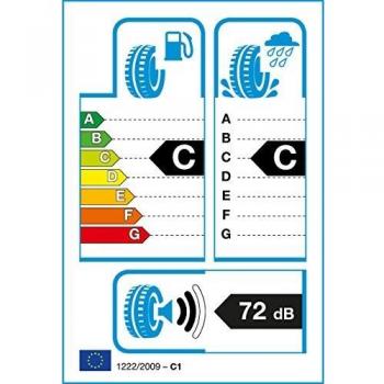 DELINTE 255/65 R17-65/255/R17 110H - C/C/72dB - Neumáticos para toda la temporada