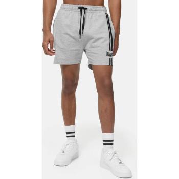 Lonsdale Ardcharnich Grey Men's Regular Fit Shorts 3XL