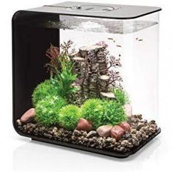 Flow 30 Black LED Aquarium with Frame - 8 Gallon Decorative Tank