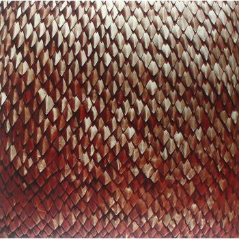 Carnelian [Vinilo]