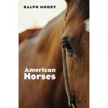 American Horses