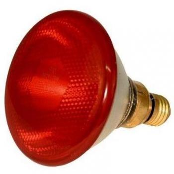 Kerbl Rotlichtbirne 175 W pudras