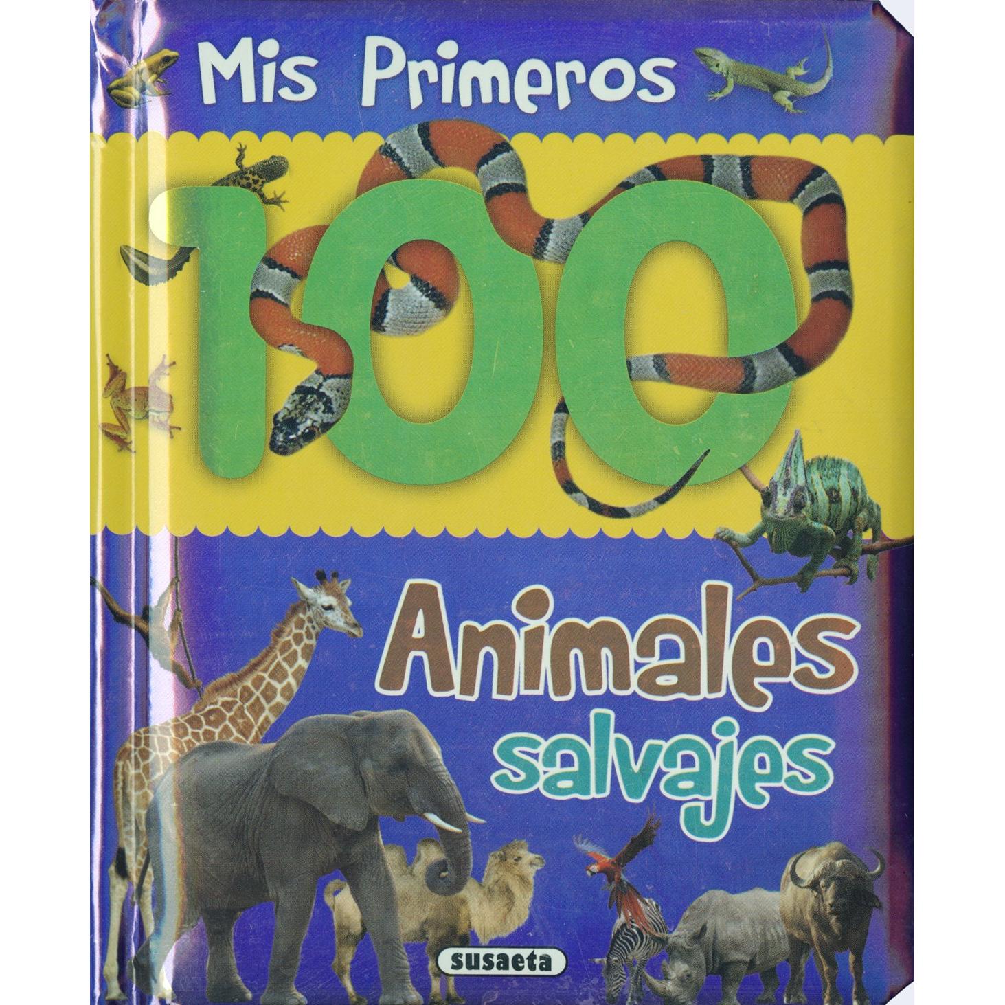 Imagen Principal