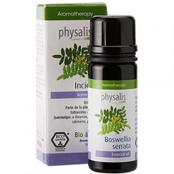 Physalis, Vela - 1 Unidad
