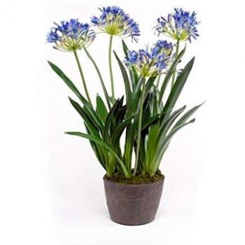 Emerald Planta Agapanto Artificial 75 cm Azul Flores Secas Hogar Jardín Casa
