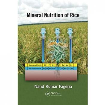 Mineral Nutrition of Rice
