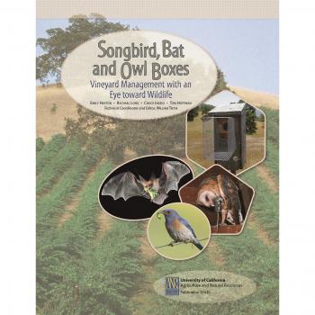 Songbird, Bat, and Owl Boxes