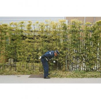 Good Luck And Do Your Best [Vinilo] - Gold Panda