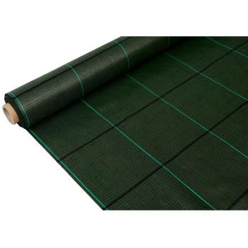 Malla Antihierbas Fun&Go 2 x 25 m Verde 100 g/m²
