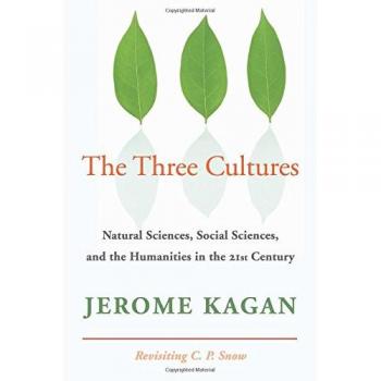 The Three Cultures: Interdisciplinary Perspectives on Natural Sciences, Social Sciences, and Humanities in the 21st Century (Paperback Edition)