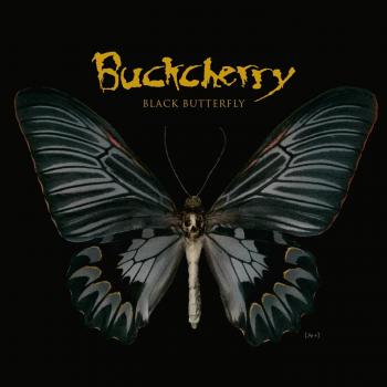 Black Butterfly