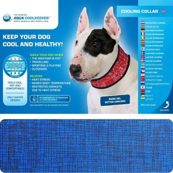 Collar Refrigerante para Perros XL - Azul