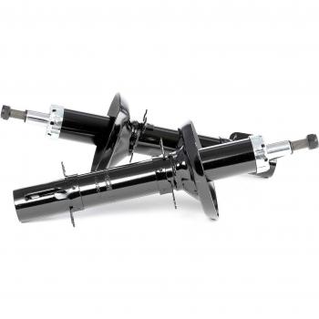 RIDEX 854S1527 Amortiguador, Set de 2