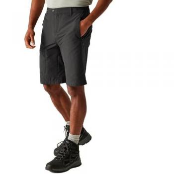 Regatta Men's Water-Repellent Highton II Long Walking Shorts - Multi Pocketed Outdoor Hiking Shorts in Ash, Size 32